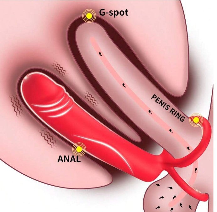 DILATADOR VIBRADOR ANAL DOBLE PENETRACION