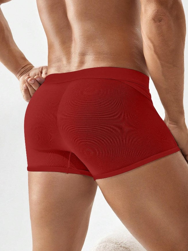 BOXER SEXY
