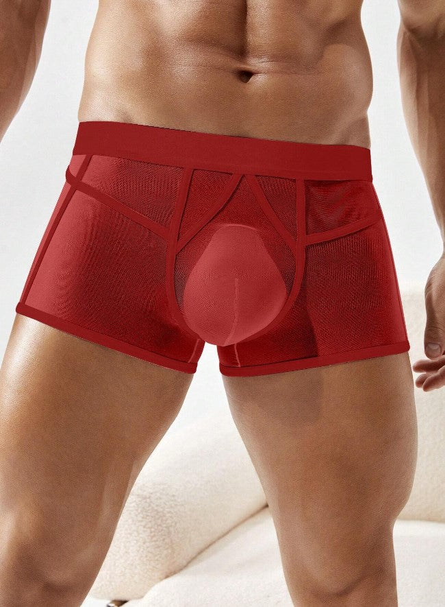 BOXER SEXY