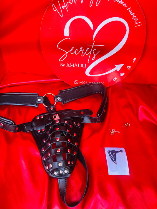 CINTURON DE CASTICIDAD