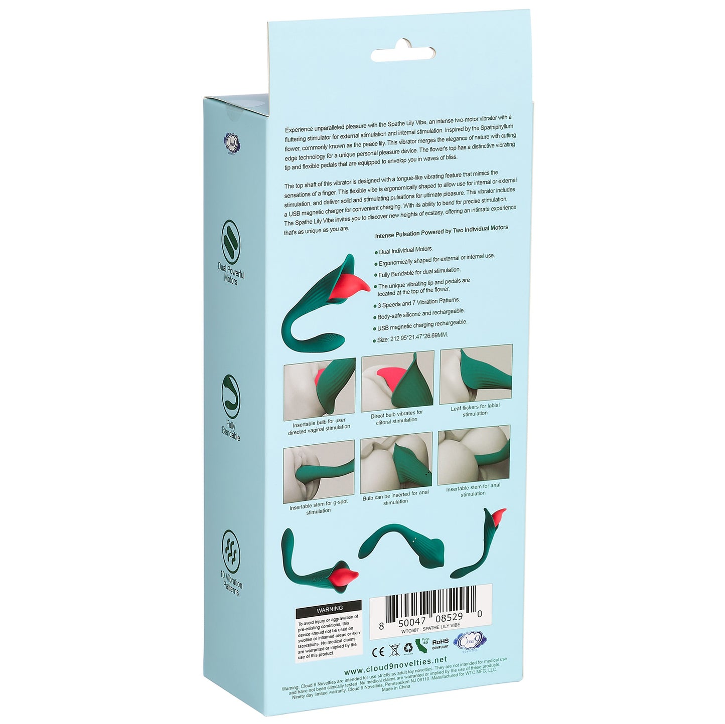 LIRIO LILY -VERDE-ROJO