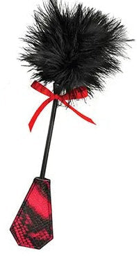 Accesorios BDSM para Parejas – Látigo, Pluma o Paleta POR UNIDAD