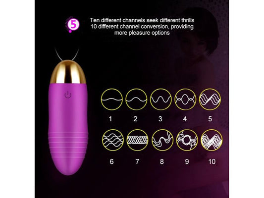 BALA VIBRADORA CONTROL MANUAL