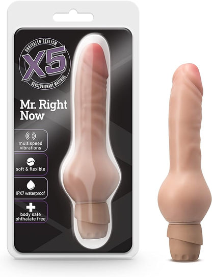 DILDO VIBRADOR MR RIGHT NOW X5