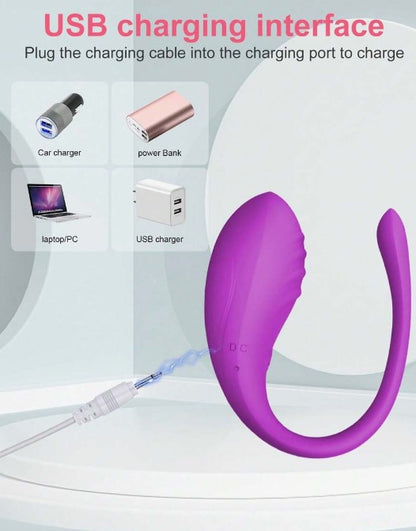 VIBRADOR FLAMINGO PREMIUM DE APP INTERNACIONAL