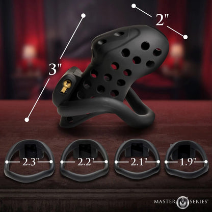 Master Series – Lock Down Chastity Cage | Jaula de Castidad Masculina