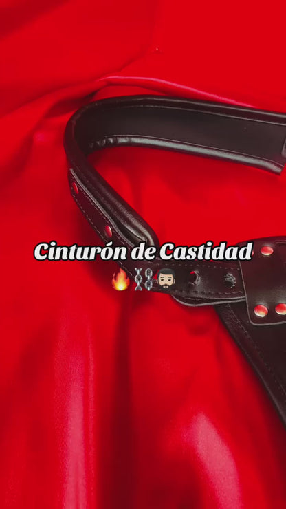 CINTURON DE CASTICIDAD