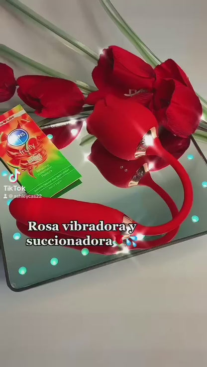 ROSA VIBRADORA Y SUCCIONADORA